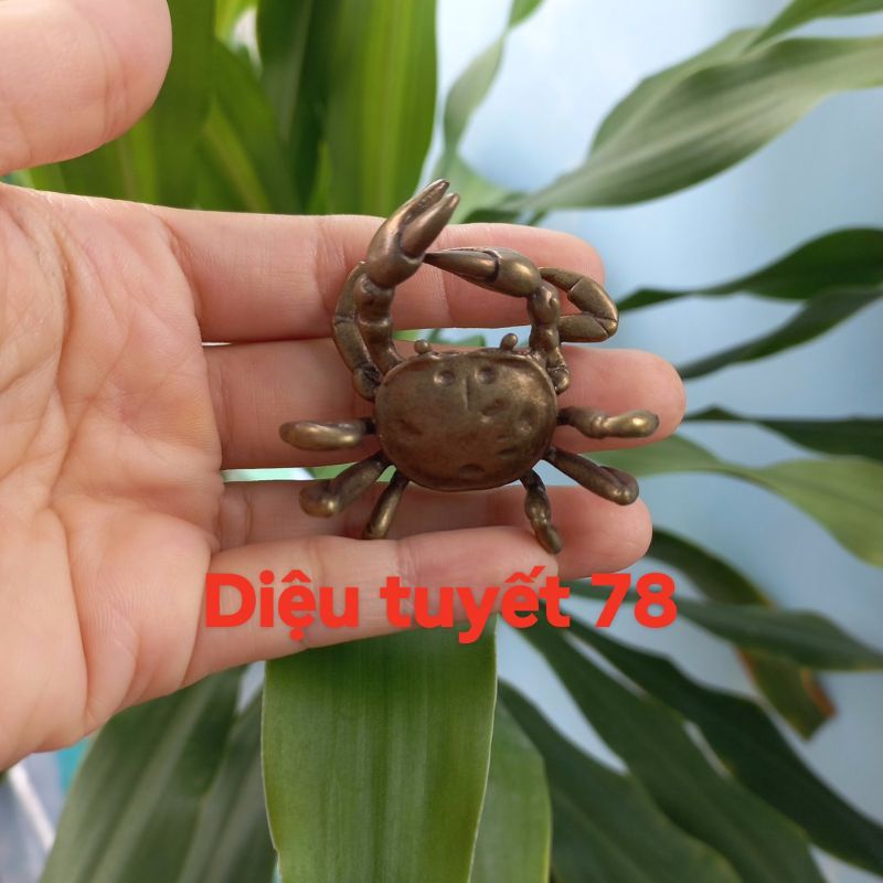 Cua đồng phong thủy kích thước 5cm