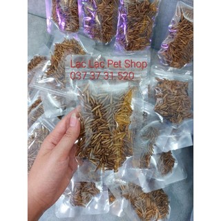 Sâu gạo rang cho Hamster - Nhím - Sóc