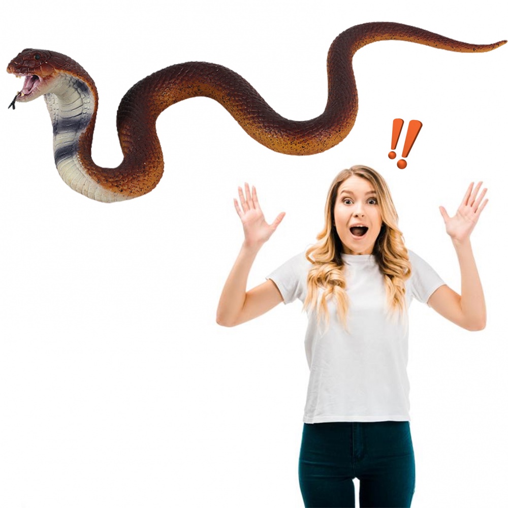 Đồ Chơi Mô Hình Rắn Hổ Mang Thú Vị Cho Halloween