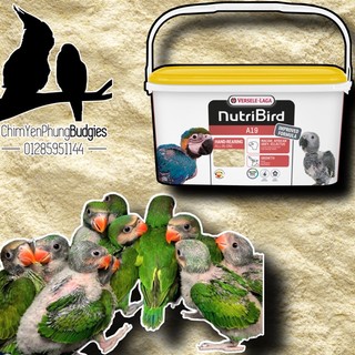 Bột nutribird a19 giàu dinh dưỡng cho vẹt non - xuất xứ: bỉ🇧🇪🇧🇪🇧🇪-date mới.