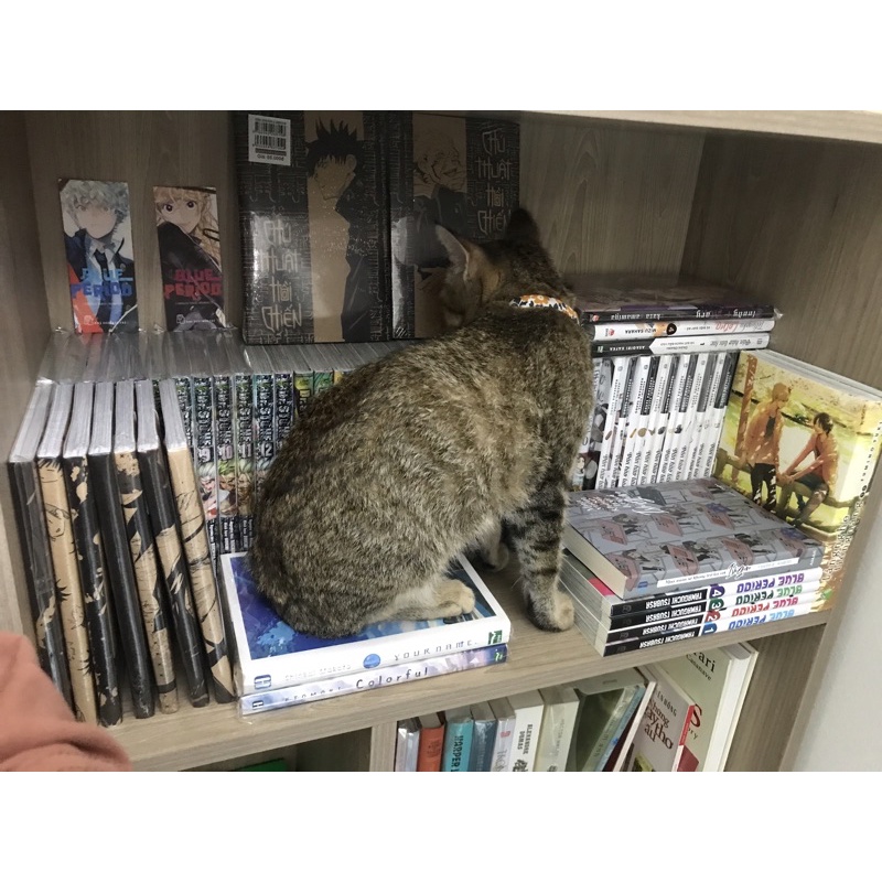 JJK LIMITED VOL 0-8  & PHỤ KIỆN