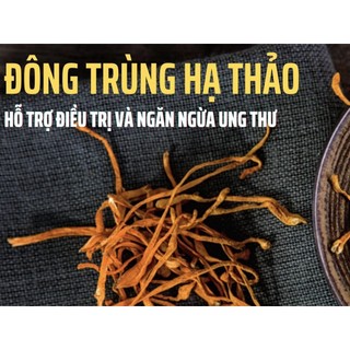 ĐÔNG TRÙNG HẠ THẢO NUTILIVE V99