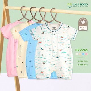 Body cột uala rogo pettit
