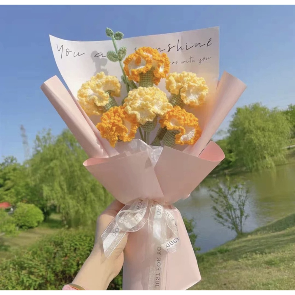 DIY - 20/11/2022 - Gói Nguyên Liệu Tự Móc Bó Hoa Cẩm Chướng - Quà Tặng Handmade Tự Làm Ý Nghĩa