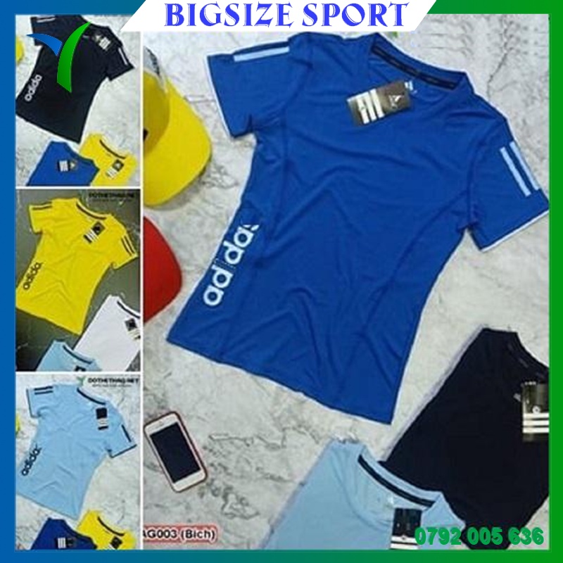 Áo Thun Thể Thao Nữ Vai Sọc In Chữ Vải Co Dãn 4 Chiều - Hàng chính hãng Bigsize Sport - 100% made in VIỆT NAM 2023