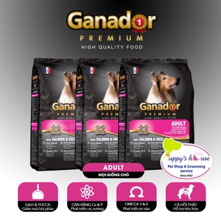 Ganador Rice & Salmon_Thức ăn cho chó trưởng thành_vị cá hồi và gạo_Túi 3kg