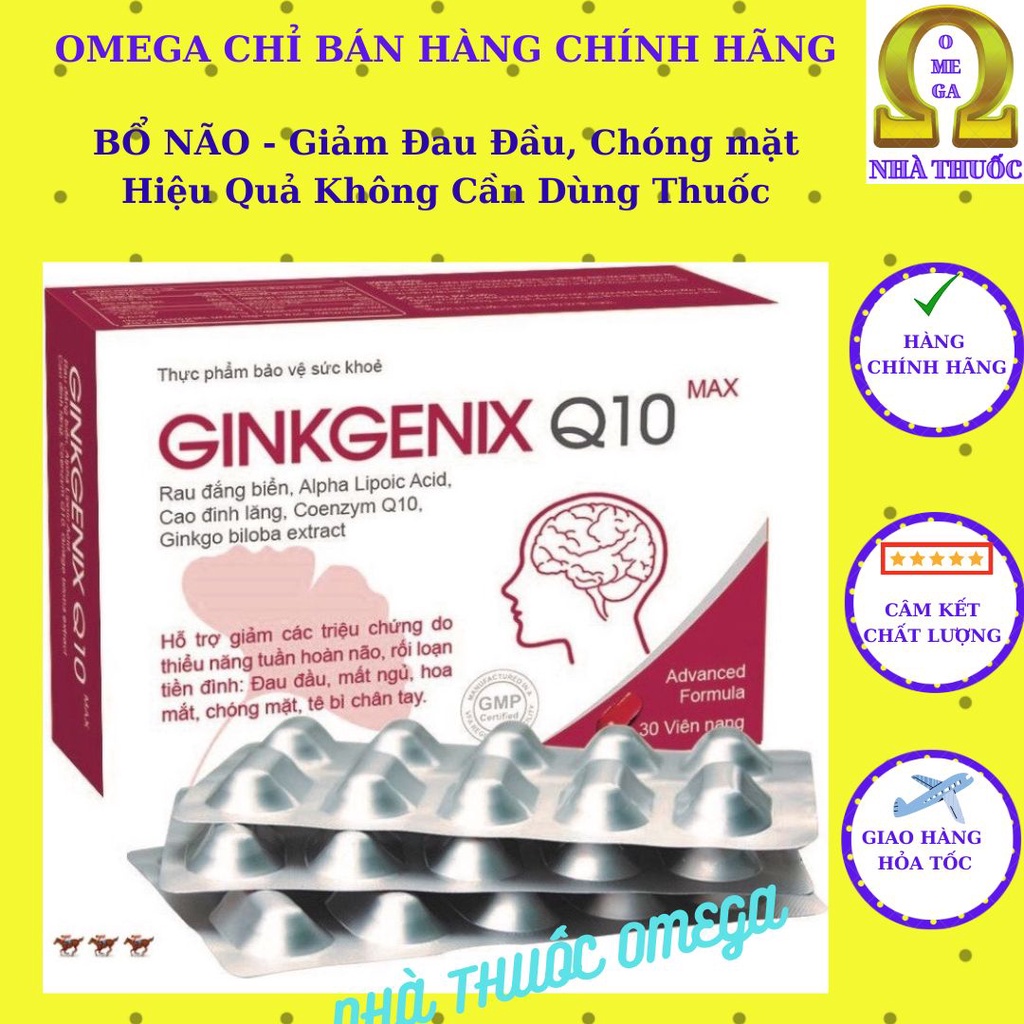Bổ Não GINKGENIX Q10 MAX - Giúp giảm cơn đau đầu nhanh chóng, Giảm Chóng mặt, Tiền Đình