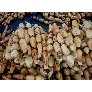 Tinh bột Củ Sen Nguyên Chất - Đồng Tháp
