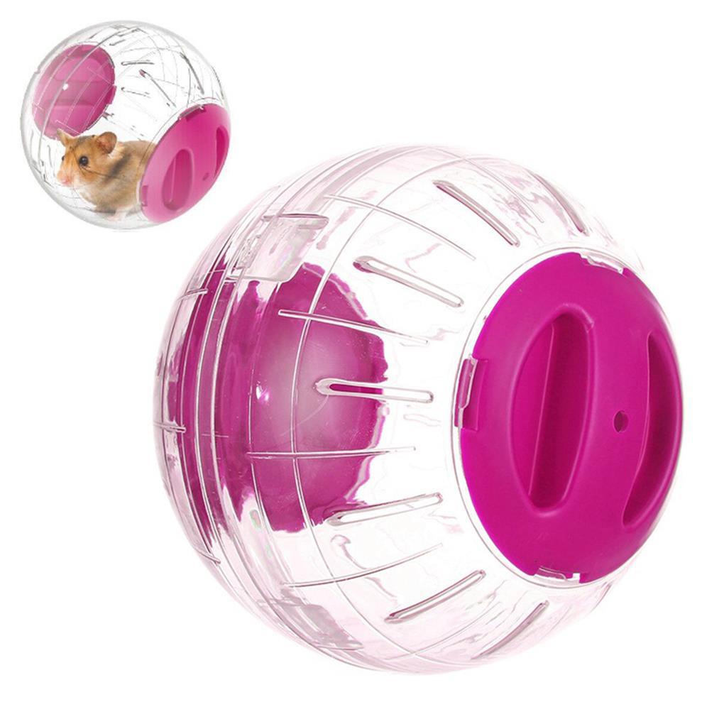 Bóng Đồ Chơi Mini Huấn Luyện Thú Cưng Tại Nhà