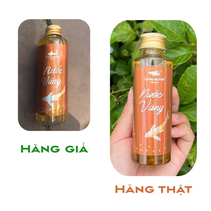 Nước Vàng Chung Nguyễn fishing