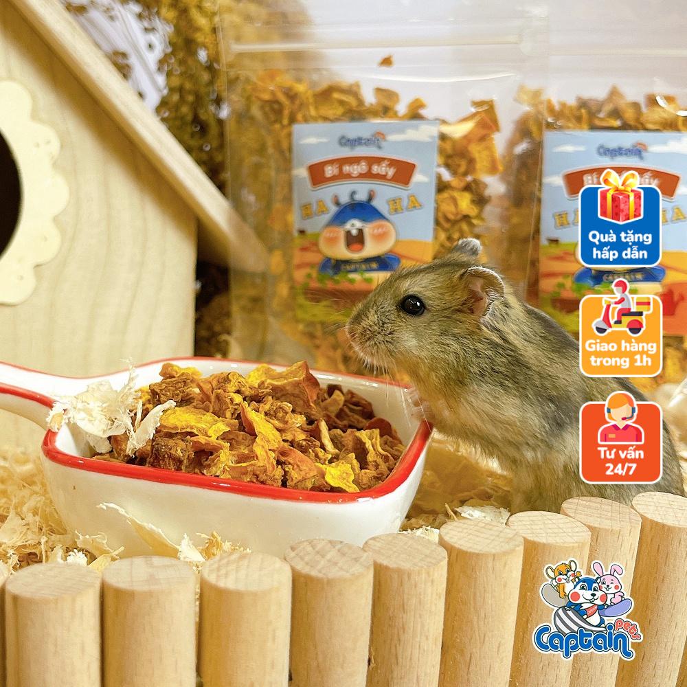 Bí ngô sấy lạnh cho thú cưng