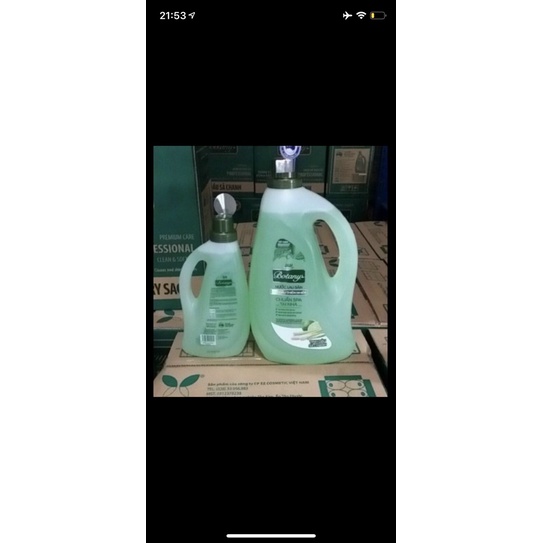Nước Lau Sàn Sả Chanh Botany 3,9kg