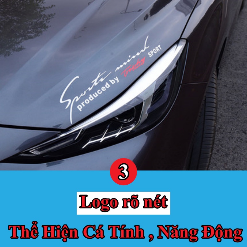 MG5 , Mẫu Trang Trí Phụ Kiện Phần Đầu Xe Hot Mới Nhất