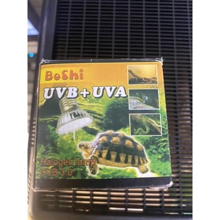 Đèn sưởi UVA+UVB 3.0 cho bò sát