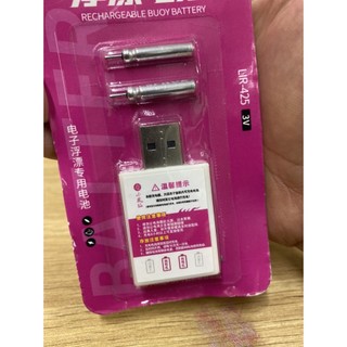 Bộ Nạp Pin phao điện