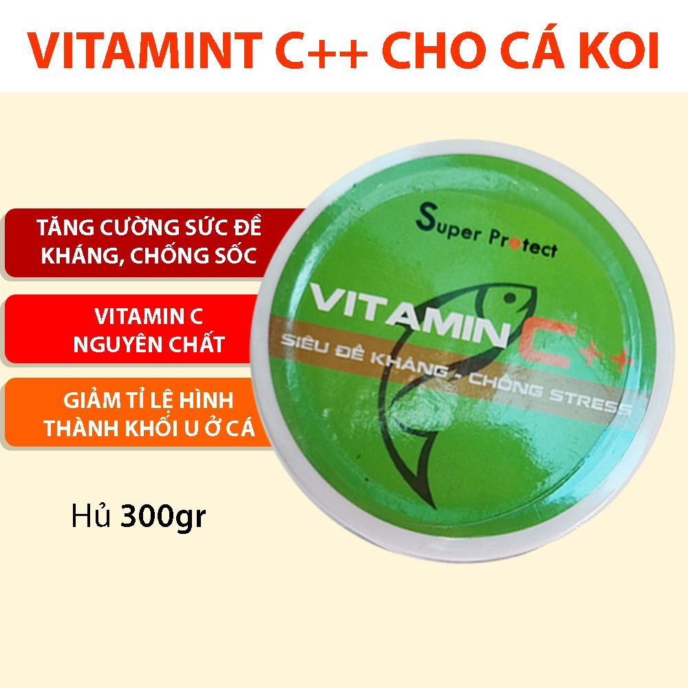 Bổ sung vitamin C++ cho cá Koi tăng cường sức đề kháng, chống shock, giảm stress và khối u trên cá chép Nhật