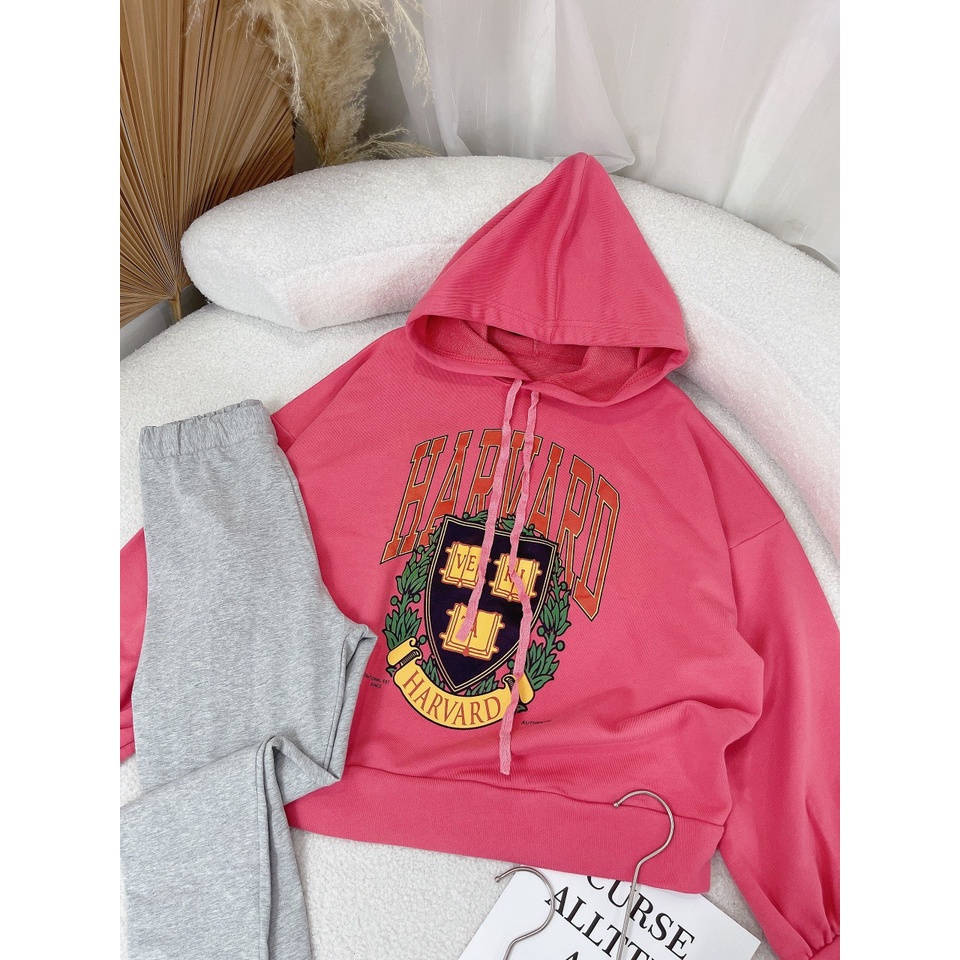 SET ÁO HOODIE HỒNG IN HÌNH + QUẦN LEGGING XÁM (TH)