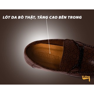 [ 6CM ] Giày Cao Nam T&TRA T83 NS