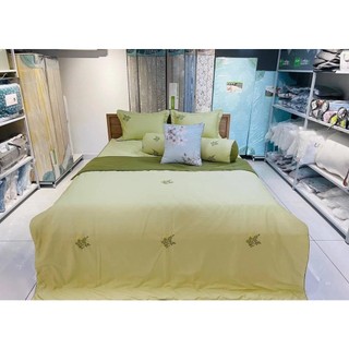 Bộ Drap Mền Everon cotton C050 chun chần