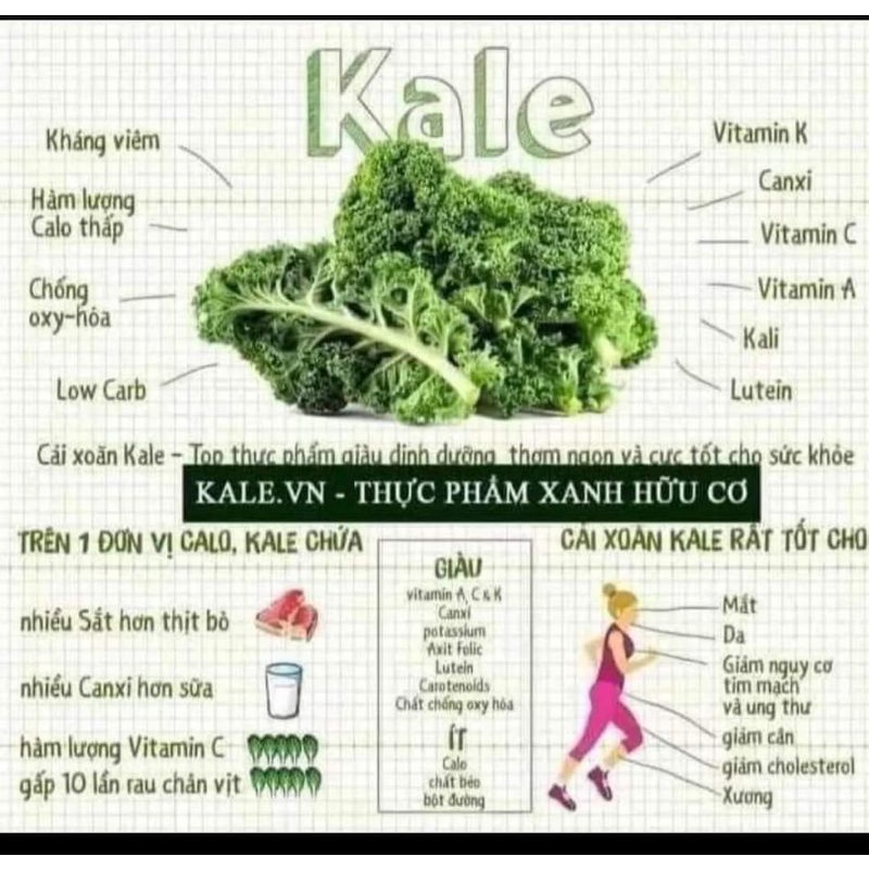 Detox cải xoăn Kale's đẹp da dáng chuẩn