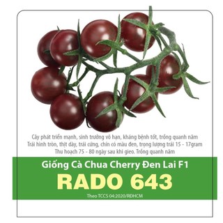 Hạt giống cà chua cherry đen lai f1 rado 643 rd gói 0.1gr