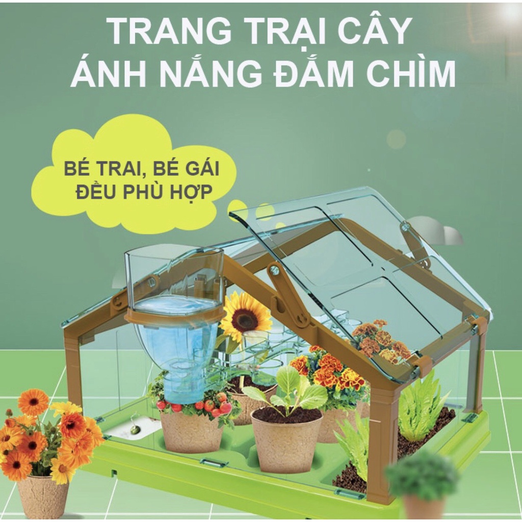 Đồ chơi Trồng cây trong nhà kính mini giúp bé theo dõi sự nảy mầm và phát triển của cây, yêu thiên nhiên hơn