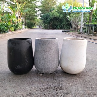 [HÀNG THANH LÝ] Các mẫu chậu thanh lý