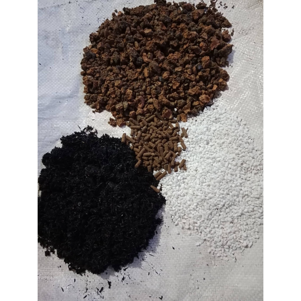 ĐẤT TRỒNG SEN ĐÁ, XƯƠNG RỒNG