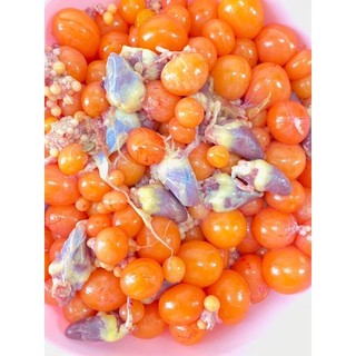 Trứng gà non khay 500gr