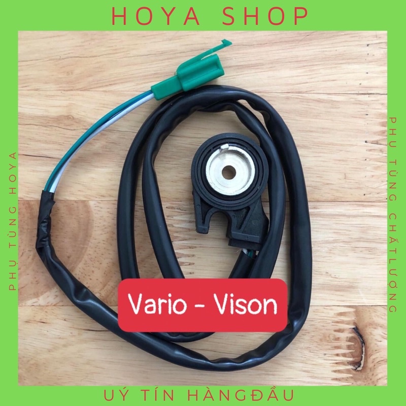 Dây Công tắc đá chống Vison - Vario