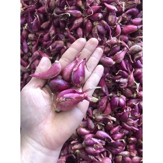1kg hành tím Lý Sơn