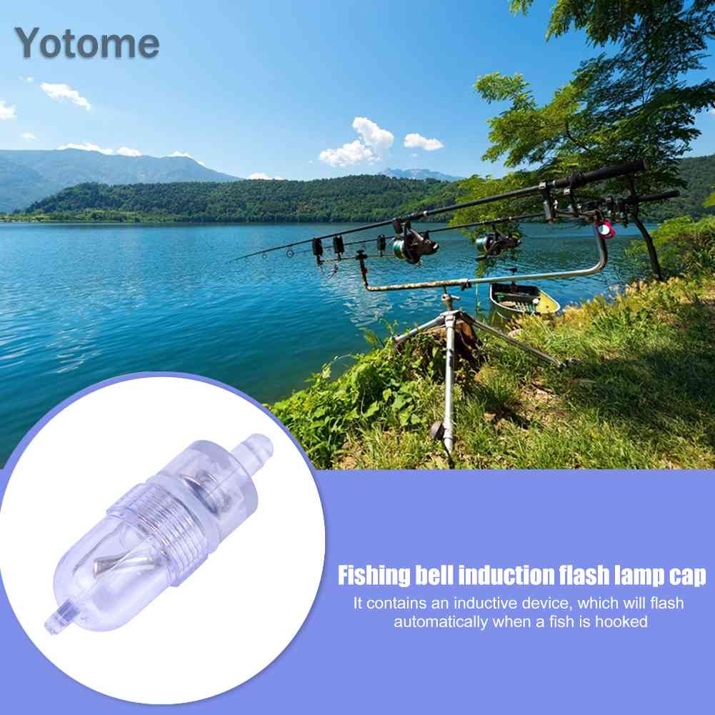 Đèn LED Câu Cá Báo Động Cảm Biến Thông Minh