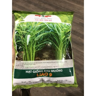 Gói 1kg hạt giống rau muống lá tre Indonesia hàng công ty Hai Mũi Tên