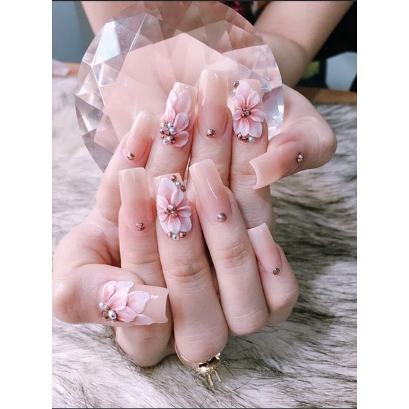 Hoa bột 100b ôm móng tay chân