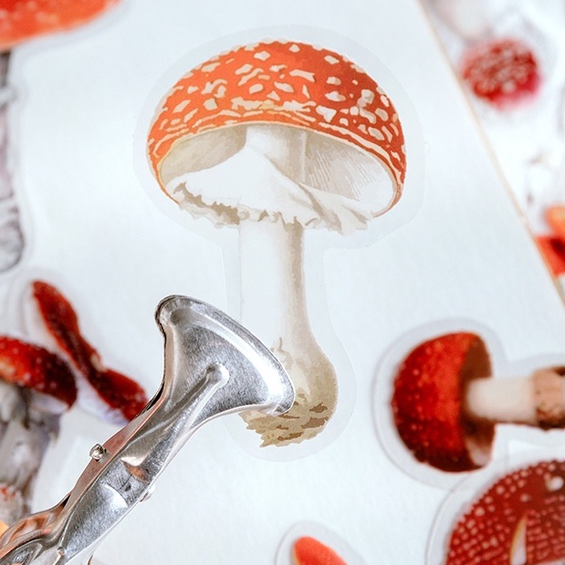 Túi 40 Nhãn Dán Trong Suốt Hình Hoa Cúc / Cỏ Ba Lá / Nấm Xinh Xắn