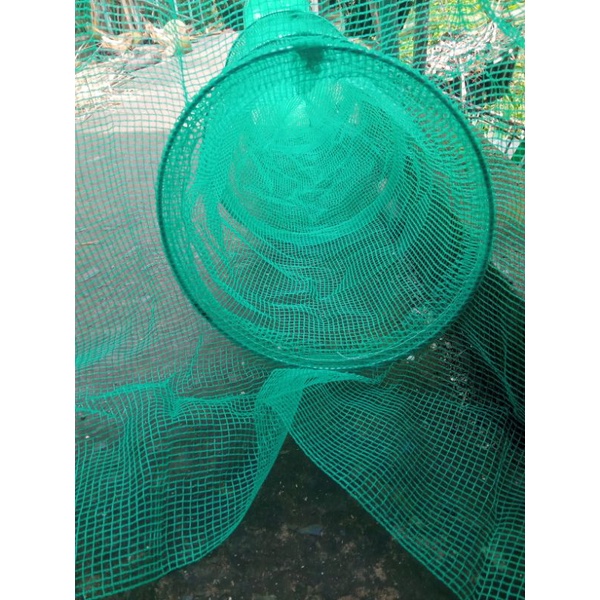 Dớn bắt cá tép miền tây