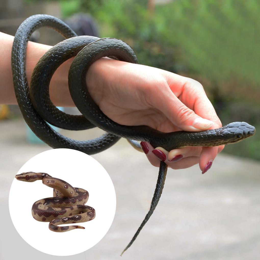 Đồ Chơi Bằng Cao Su PVC An Toàn Cho Thú Cưng Bò Sát