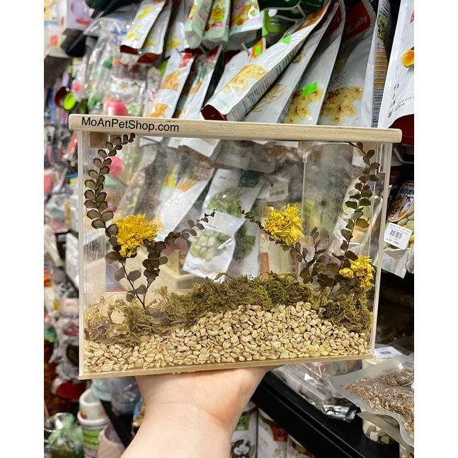 Hộp Đào cho Hamster 20x15x15
