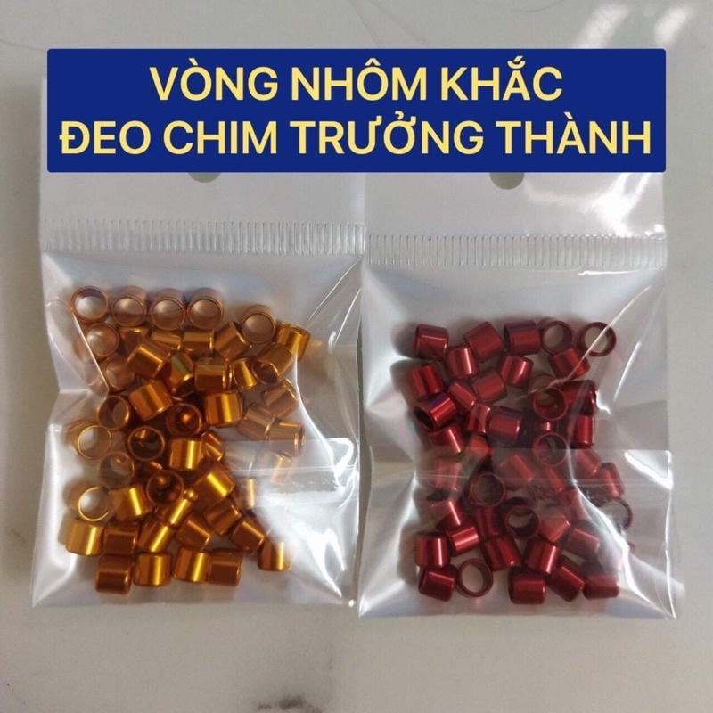 SÉT 10 VÒNG ĐEO CHÂN CHOÈ THAN SS - CHÀO MÀO BỔI - KHẮC TÊN THEO YÊU CẦU