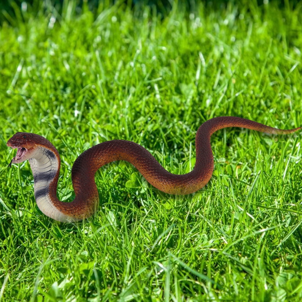 Đồ Chơi Mô Hình Rắn Hổ Mang Thú Vị Cho Halloween