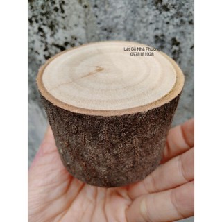 Khúc Gỗ trơn Decor cao 5cm, đường kính 5-6cm