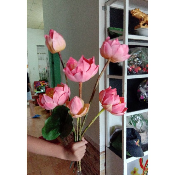 Cụm sen đất sét tự khô