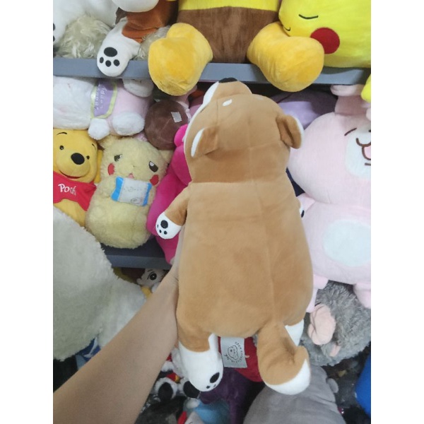 Gấu bông siba size 20-30cm