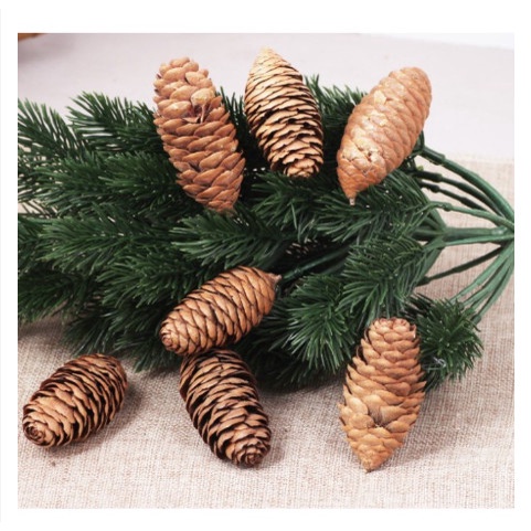 Quả thông khô màu gốc phụ kiện trang trí giáng sinh - Trang trí nhà cửa, Trang trí cây thông dịp noel