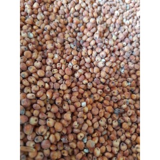 Hạt bo bo đỏ 1kg