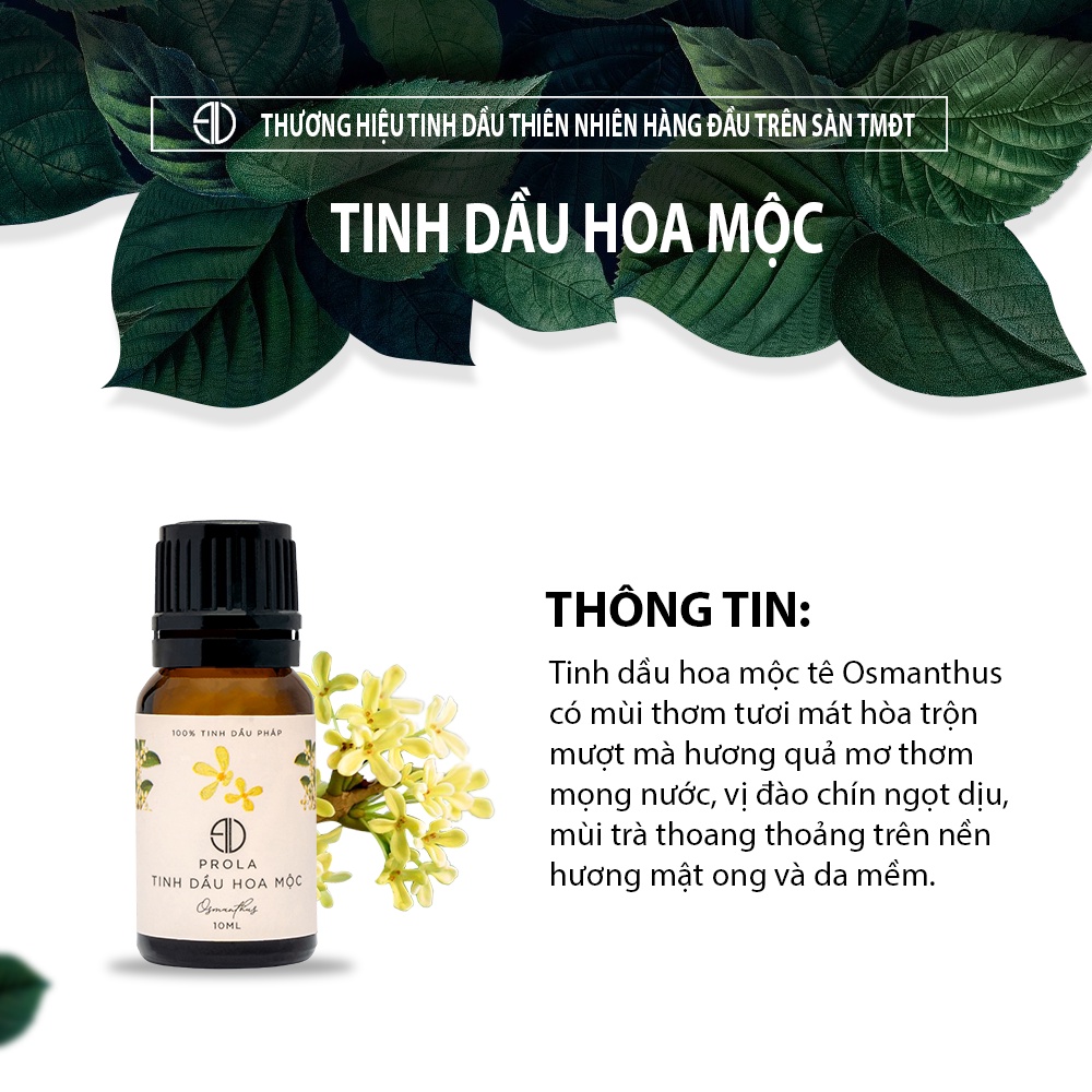 Tinh dầu thiên nhiên PROLA Hương Hoa Mộc Osmanthus dùng thay nước hoa