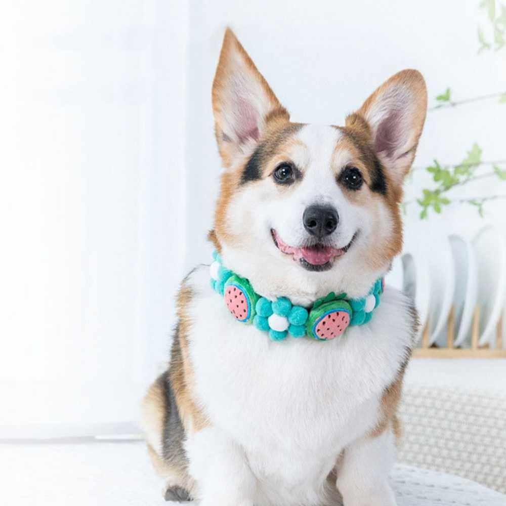 Vòng Cổ Thắt Nơ Xinh Xắn Cho Thú Cưng