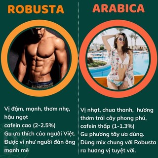 Cà Phê Nguyên Chất BL64 Thành Phần 60% Robusta+40% Arabica Rang Mộc Pha Phin, Pha Máy