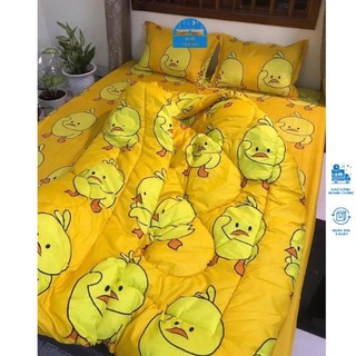 Set Chăn ga gối 5 món in hình chất đẹp