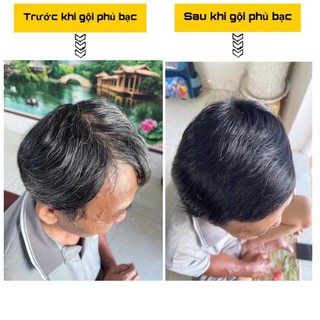 DẦU GỘI PHỦ BẠC TINH CHẤT SAFFRON